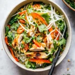 Savory Vietnamese-Inspired Chicken Salad with Rice Noodles Delight 8 Vietnamese-Inspired Chicken Salad with Rice Noodles