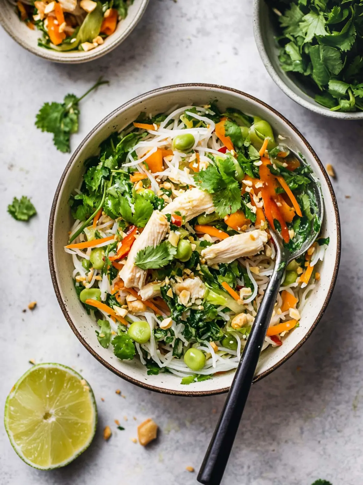 Savory Vietnamese-Inspired Chicken Salad with Rice Noodles Delight 2 Vietnamese-Inspired Chicken Salad with Rice Noodles